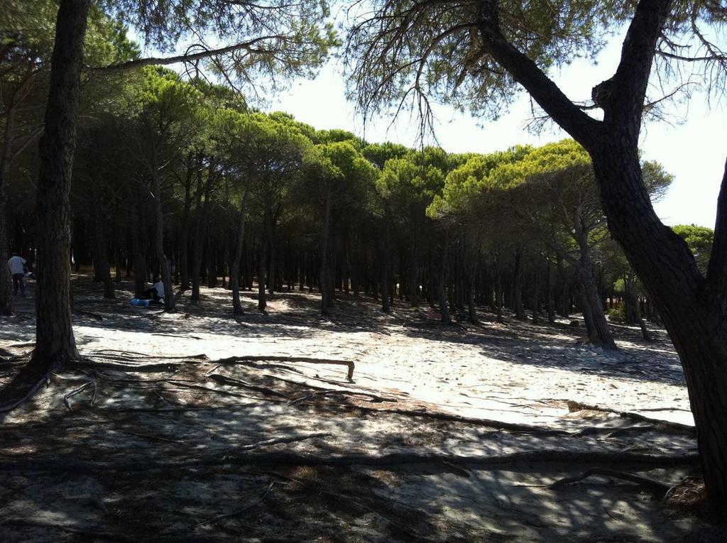 Case Vacanze Budoni Beach Habitación foto